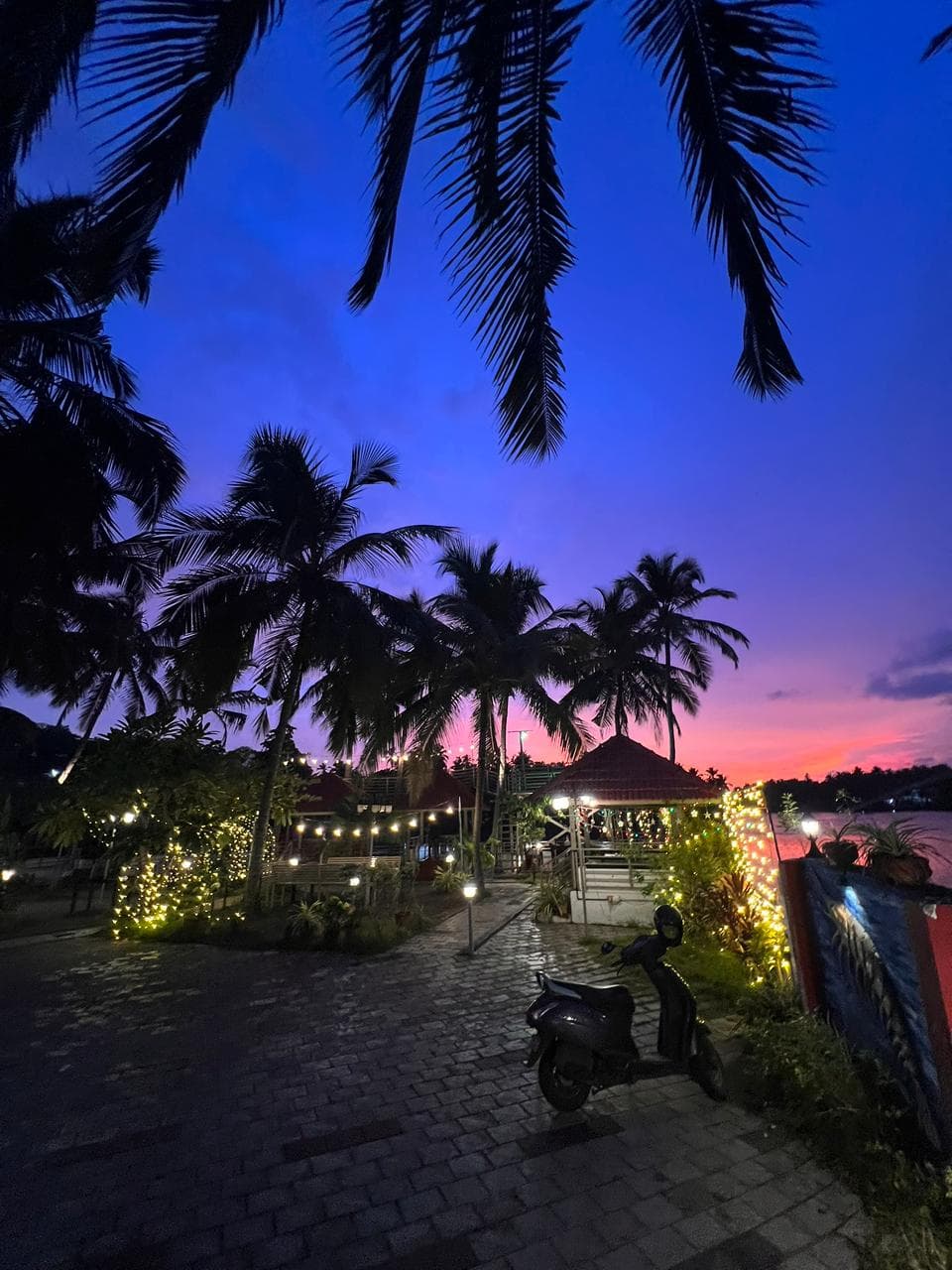 Calico Cuisino - Photo 13