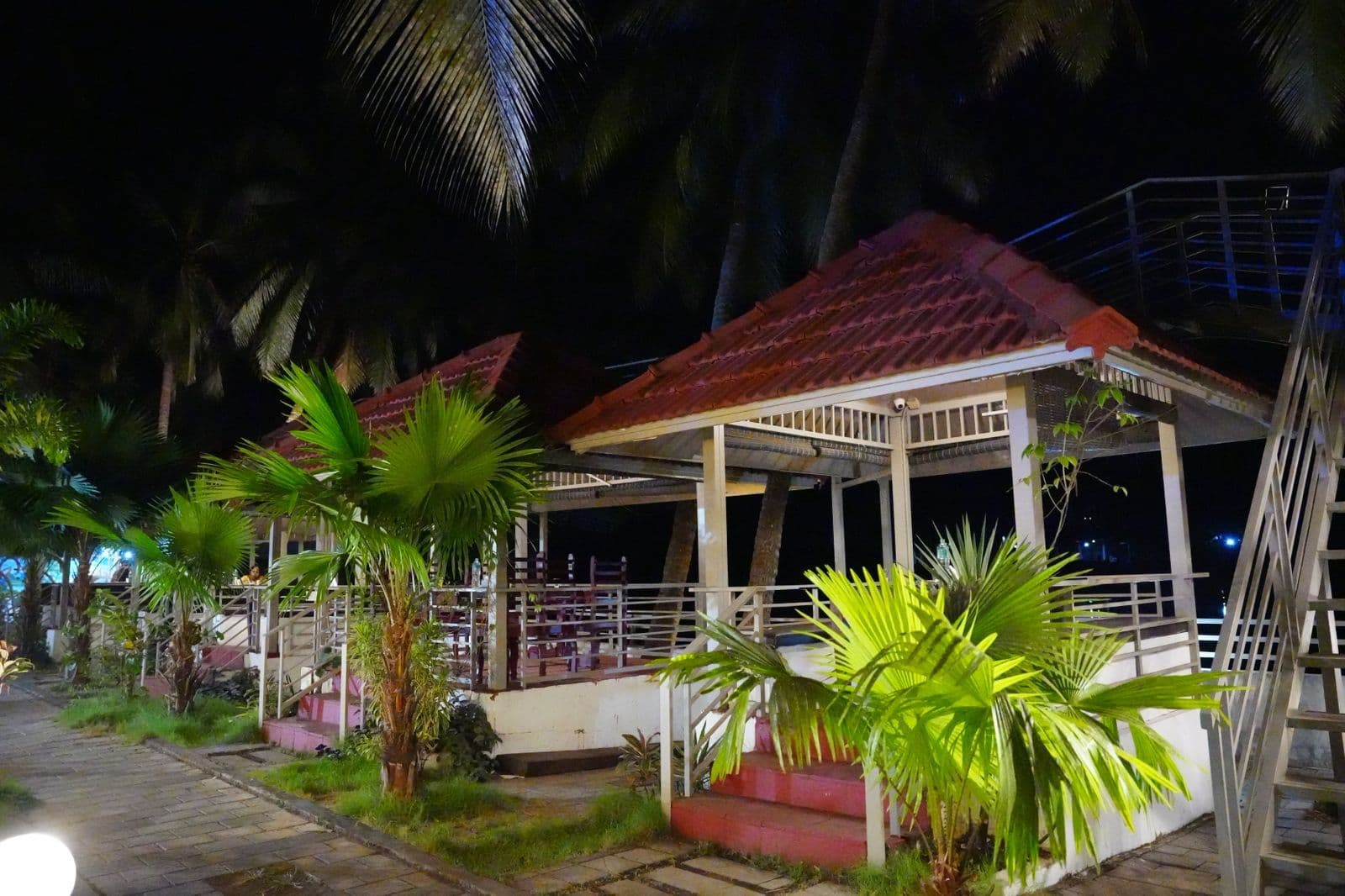 Calico Cuisino - Photo 14