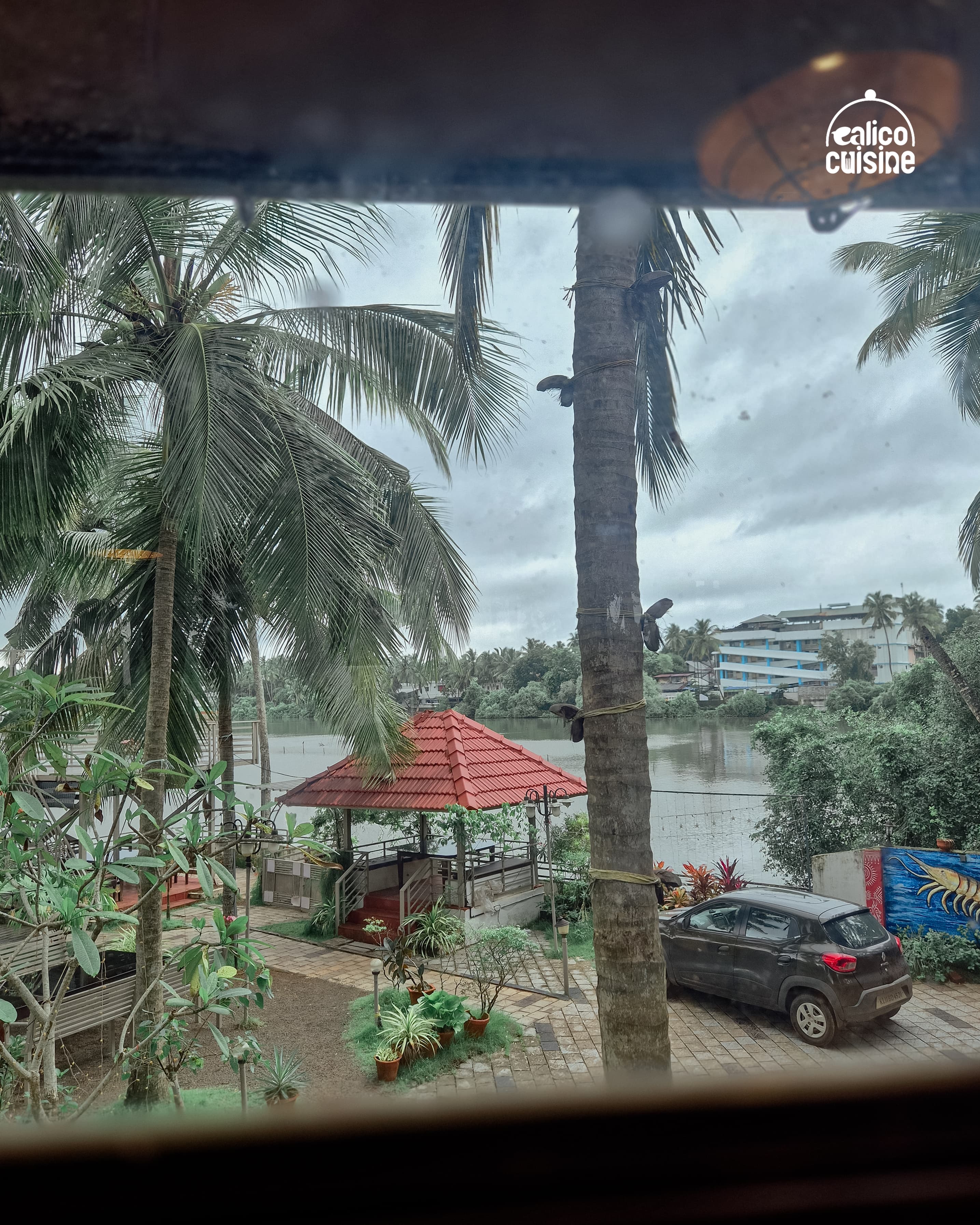 Calico Cuisino - Photo 7